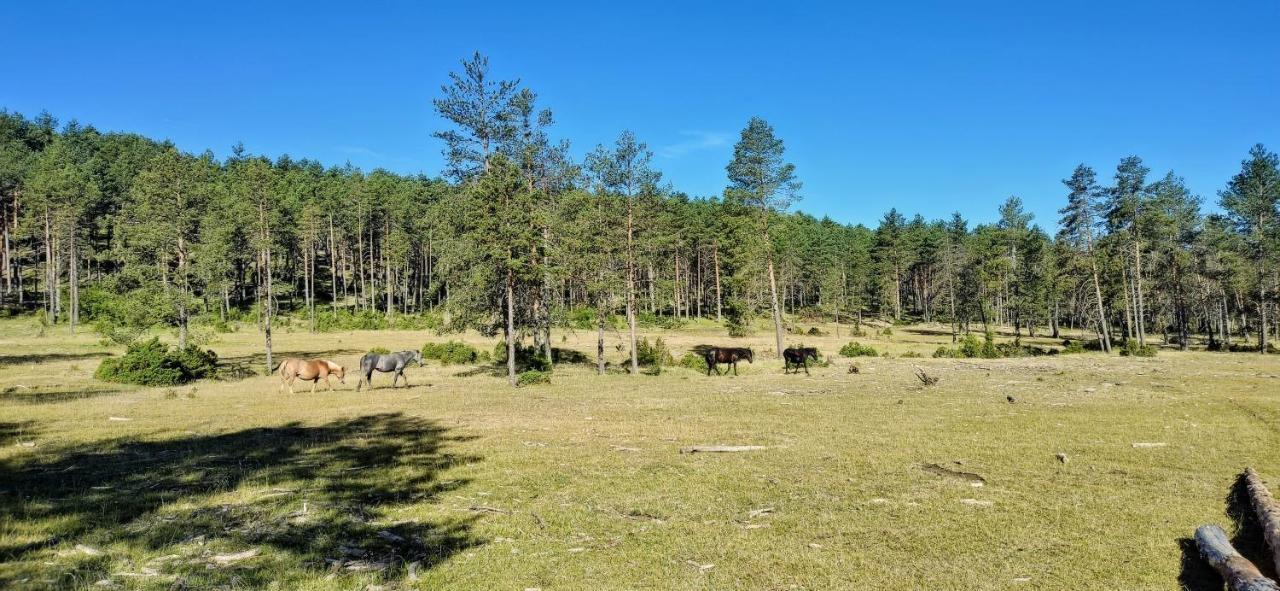 Alojamiento Rural Los Hacheros Tragacete Esterno foto