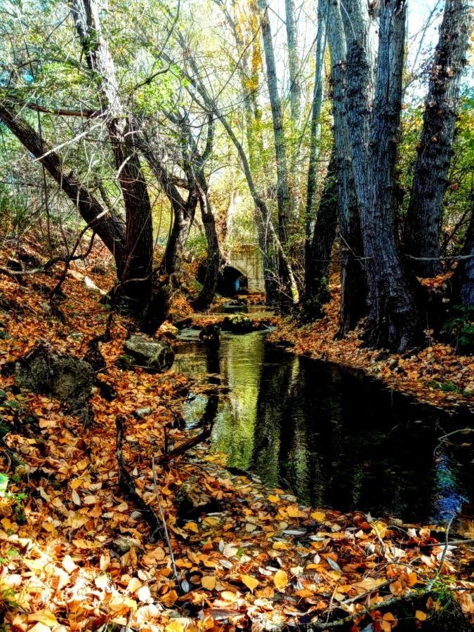 Alojamiento Rural Los Hacheros Tragacete Esterno foto