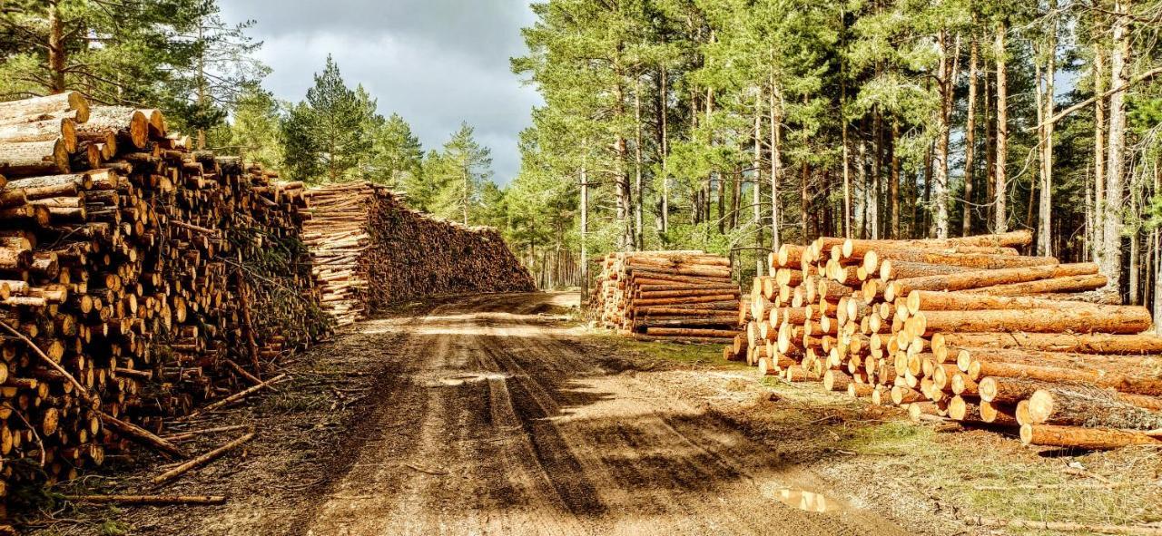 Alojamiento Rural Los Hacheros Tragacete Esterno foto