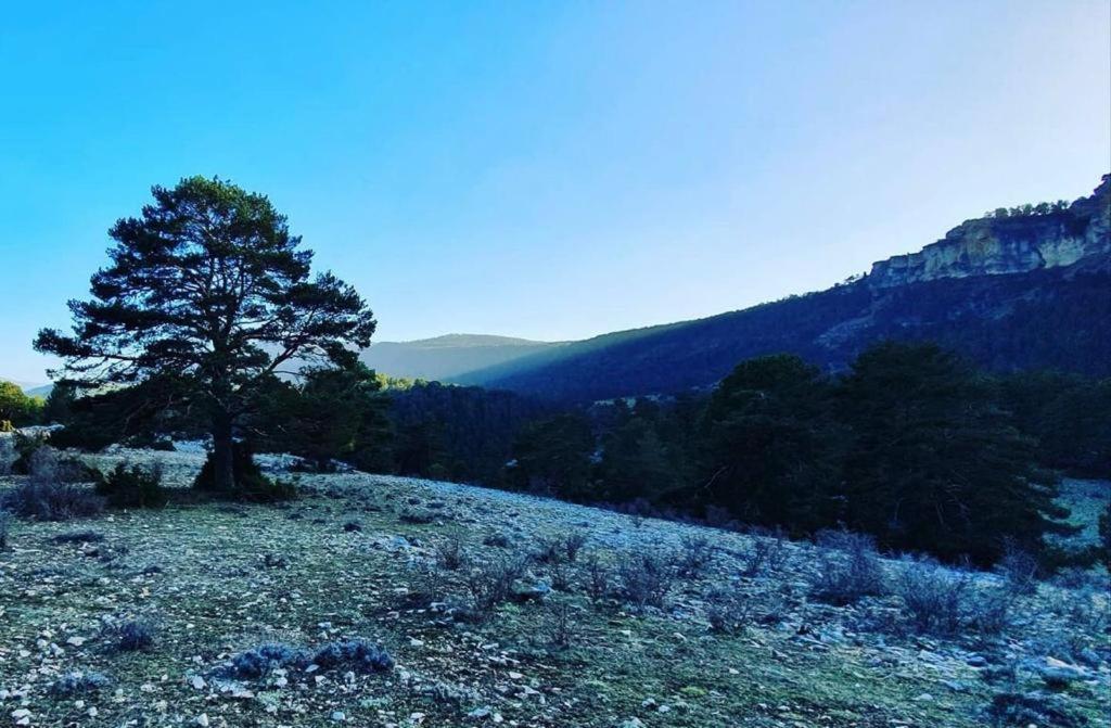 Alojamiento Rural Los Hacheros Tragacete Esterno foto
